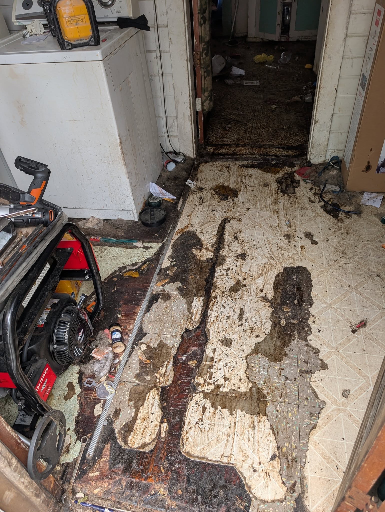 biohazard cleanup mesa az