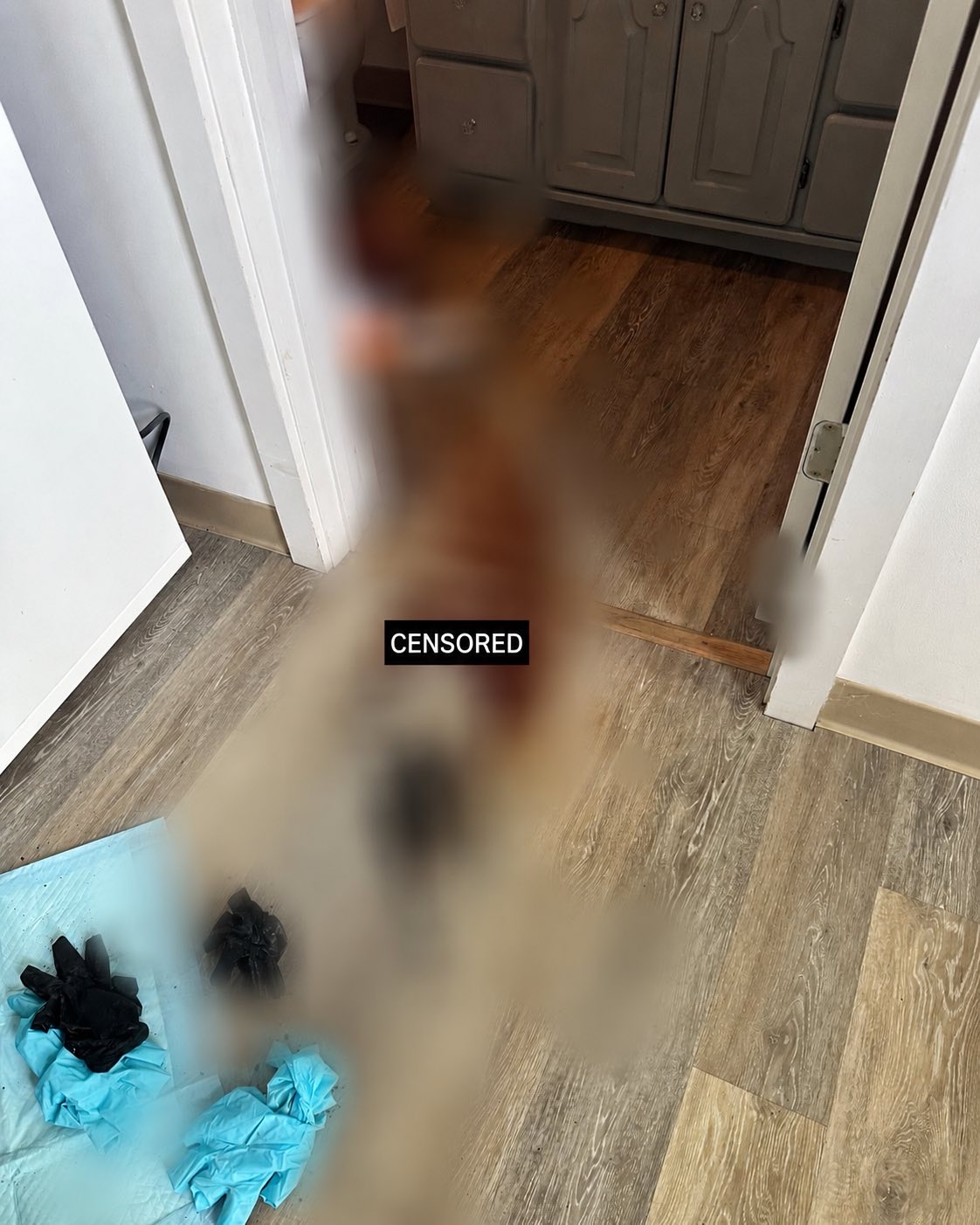 biohazard cleanup of home unatended death