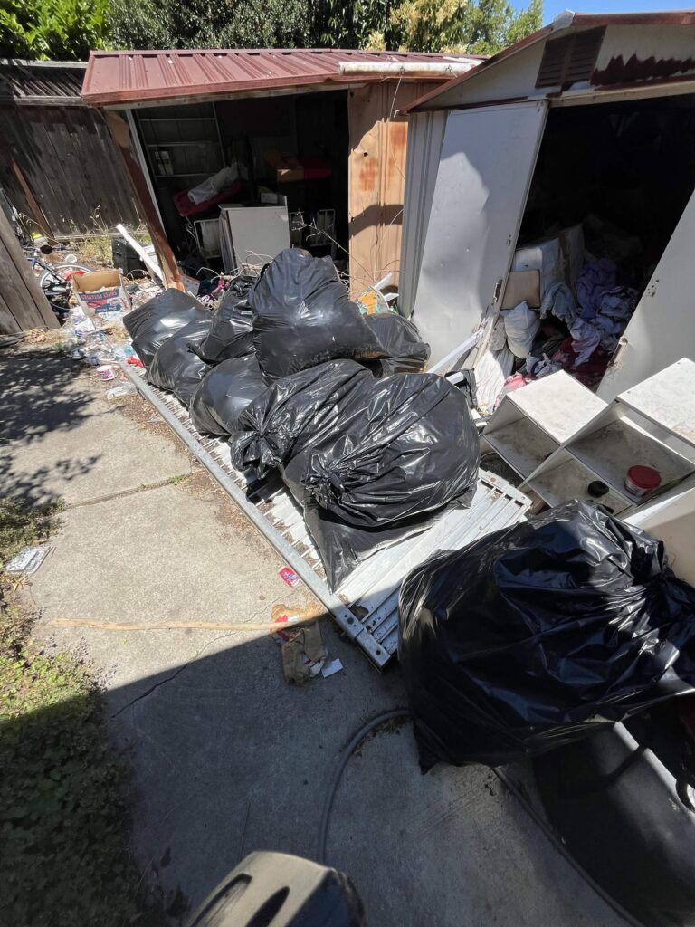 hoarding clean up